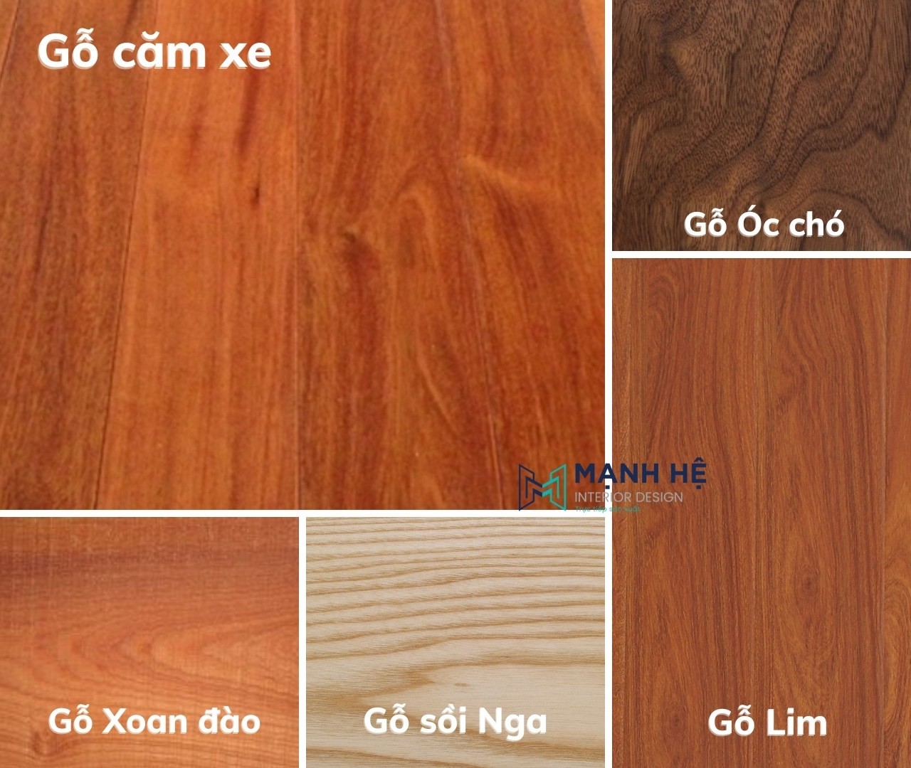 Các loại gỗ tự nhiên phổ biến trên thị trường nội thất