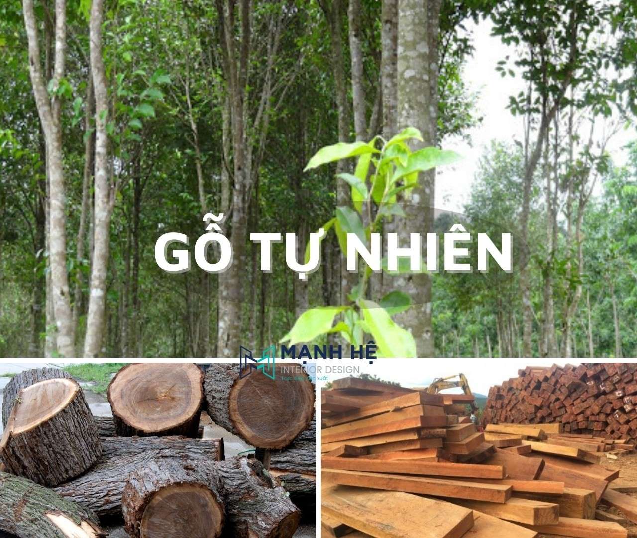 gỗ tự nhiên là gì