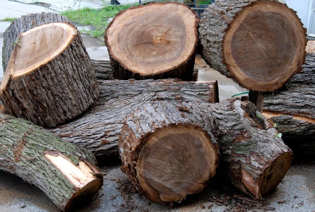 Gỗ óc chó tự nhiên