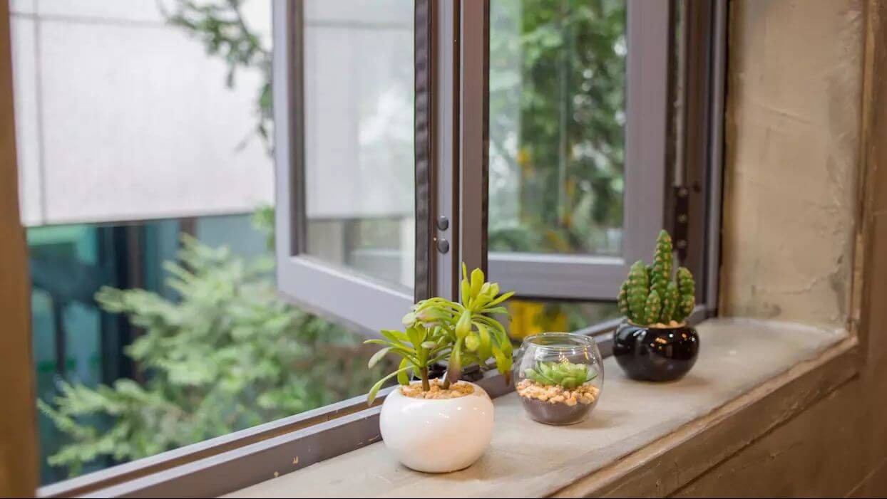 Sử dụng cây xanh nhỏ xinh trang trí cửa sổ phòng ngủ