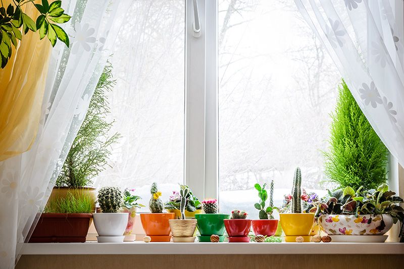 Cách trang trí cửa sổ phòng khách.