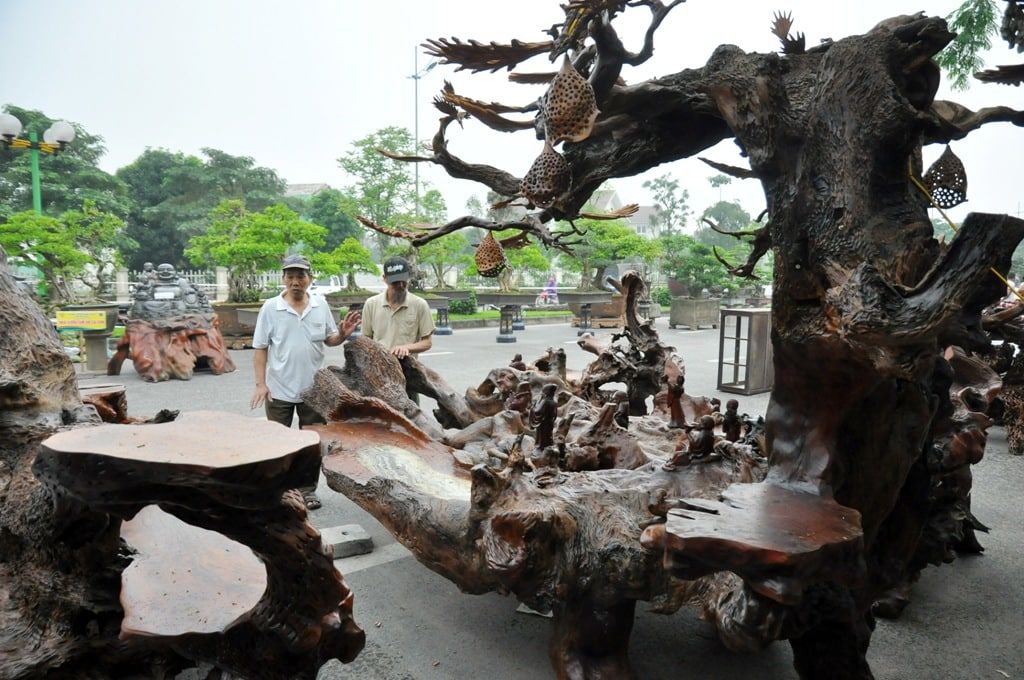 Khối gỗ gụ lớn màu trầm tạo cảm giác quyền lực