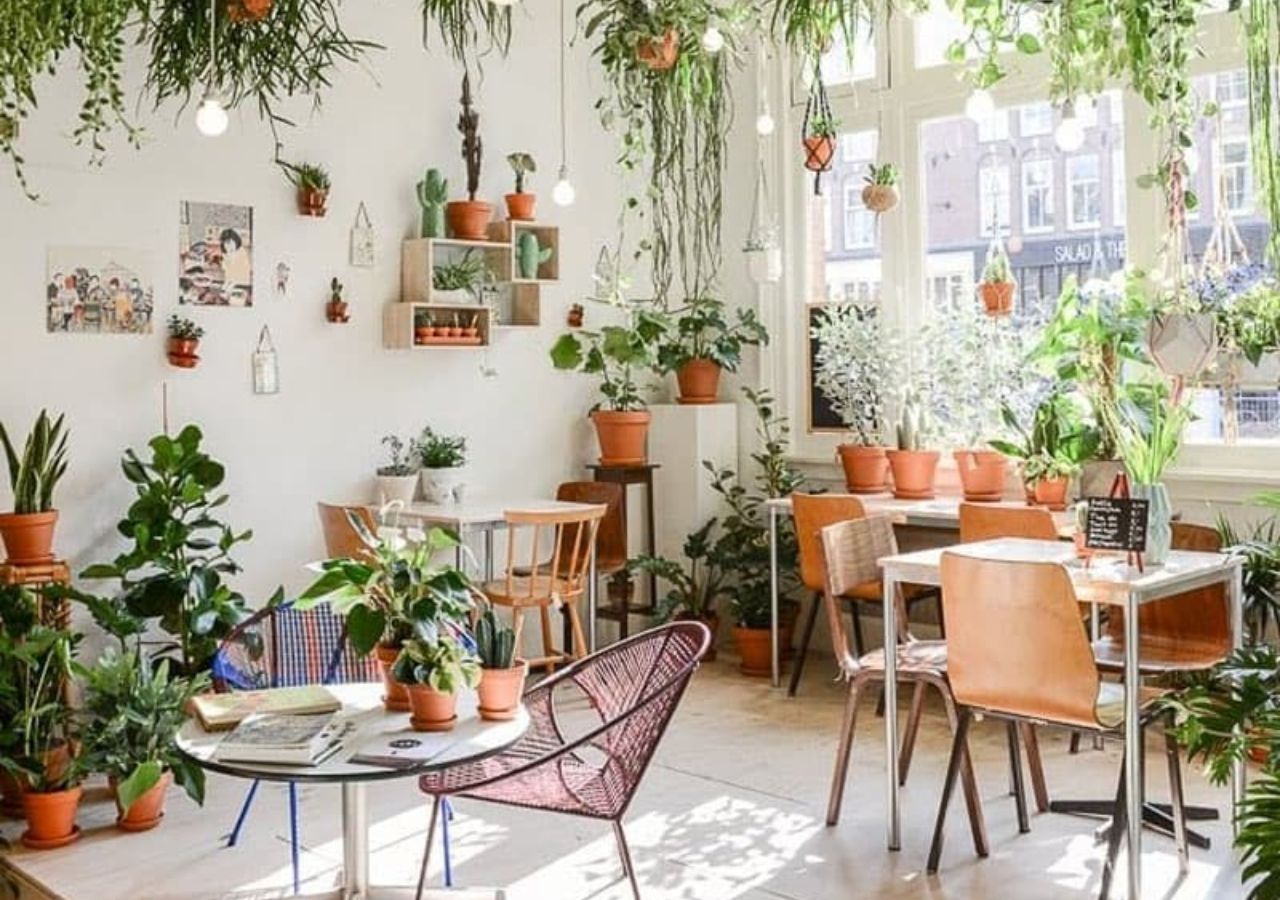 Ý tưởng 16: Cách trang trí quán cafe bình dân với nhiều chậu cây nhỏ