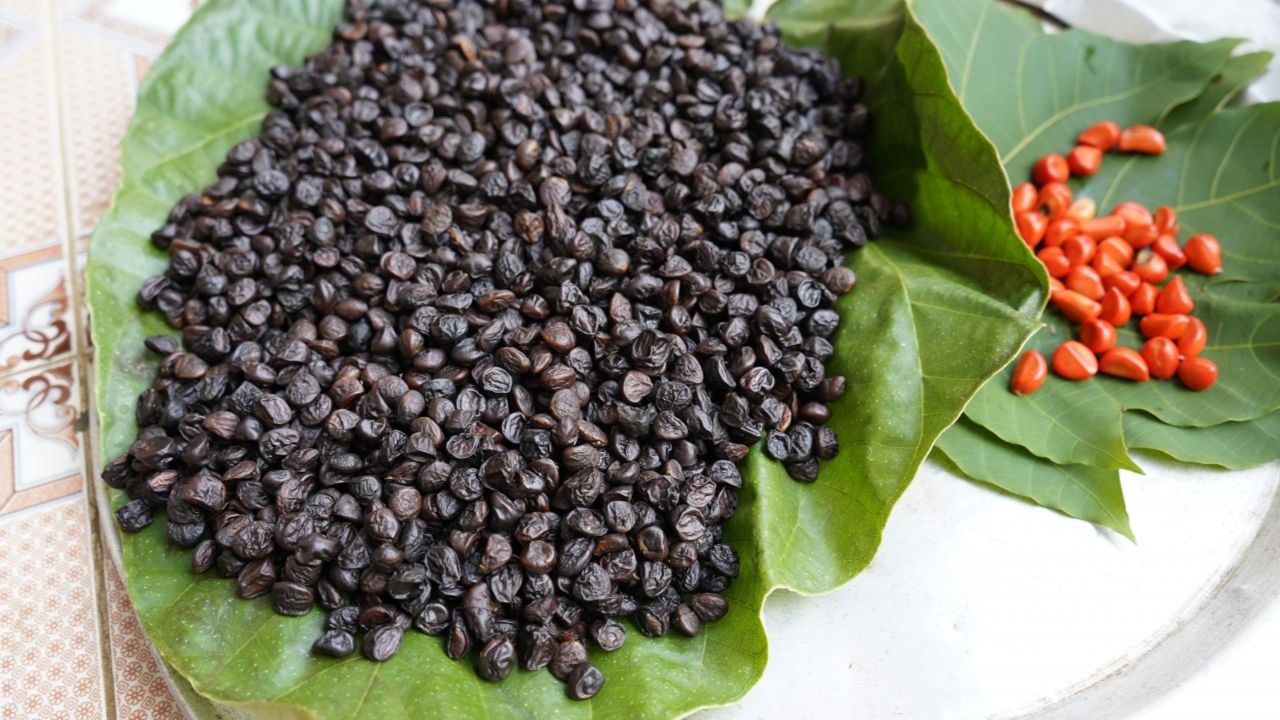 Hạt dổi cay thơm nhẹ dùng để tẩm ướp gia vị giúp tăng mùi vị cho món ăn