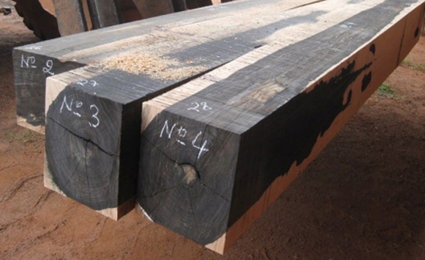 Mẫu gỗ sưa đen dùng làm đồ nội thất trang trí trong nhà