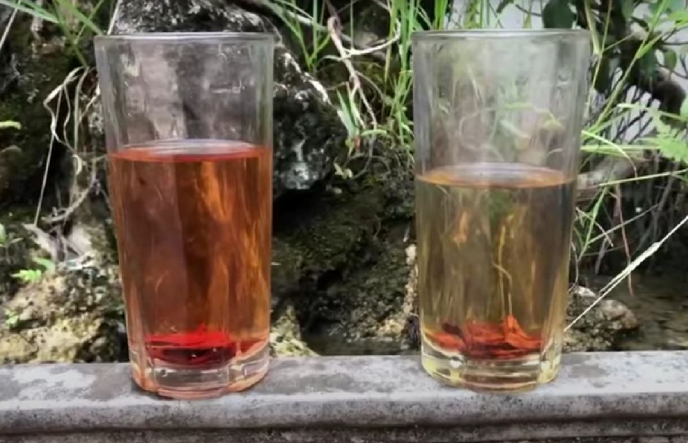 Phương pháp ngâm trong nước để nhận biết được mẫu gỗ sưa đỏ