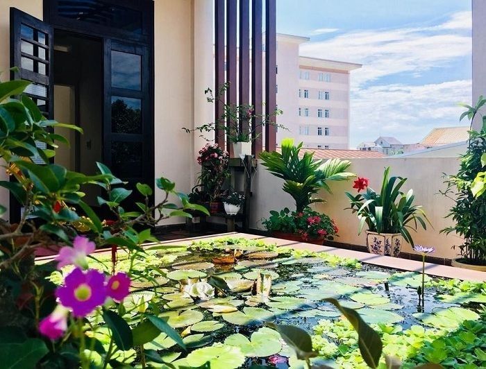 Tiểu cảnh hồ sen trên sân thượng tốn khá nhiều công sức nhưng vẻ đẹp mang lại là không thể bàn cãi