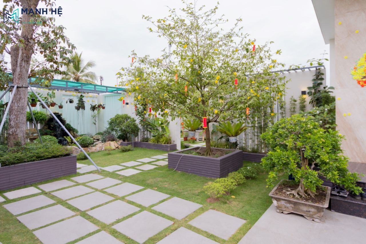 Cận cảnh khu vườn đầy sắc xanh và điểm thêm một vài hoa mai ngày cận Tết của gia chủ