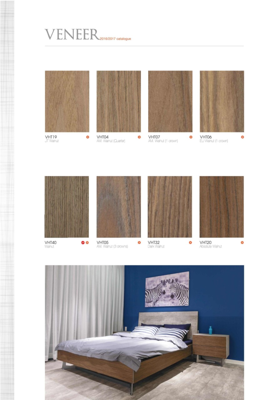 Gỗ veneer óc chó là gì mà được ưa chuộng đến như vậy?